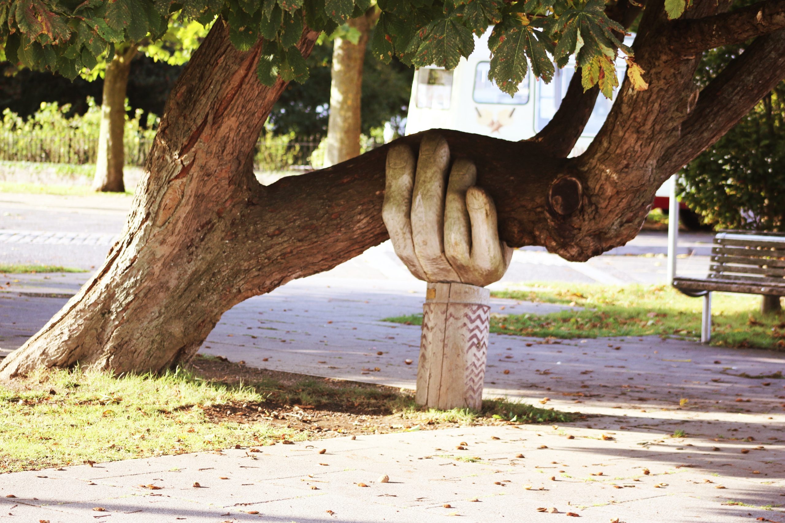 Hold and Be Held: Parenting strategies for raising strong kids