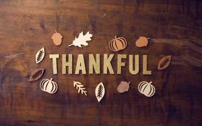 Thoughts for a grace filled Thanksgiving