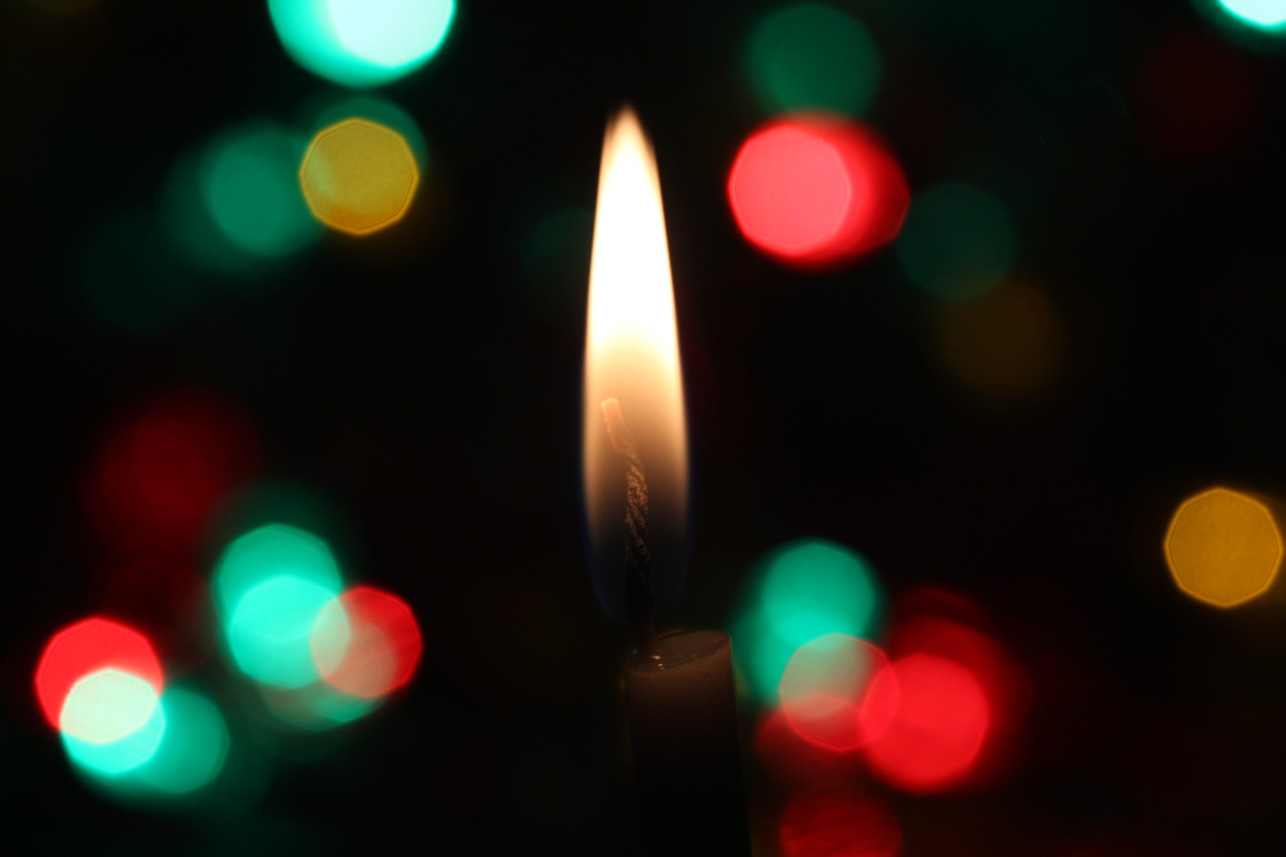 Happy COVID Holidays!