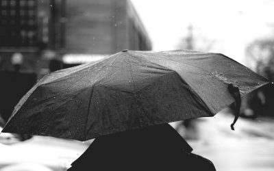 Listening to Understand: A step toward systemic change