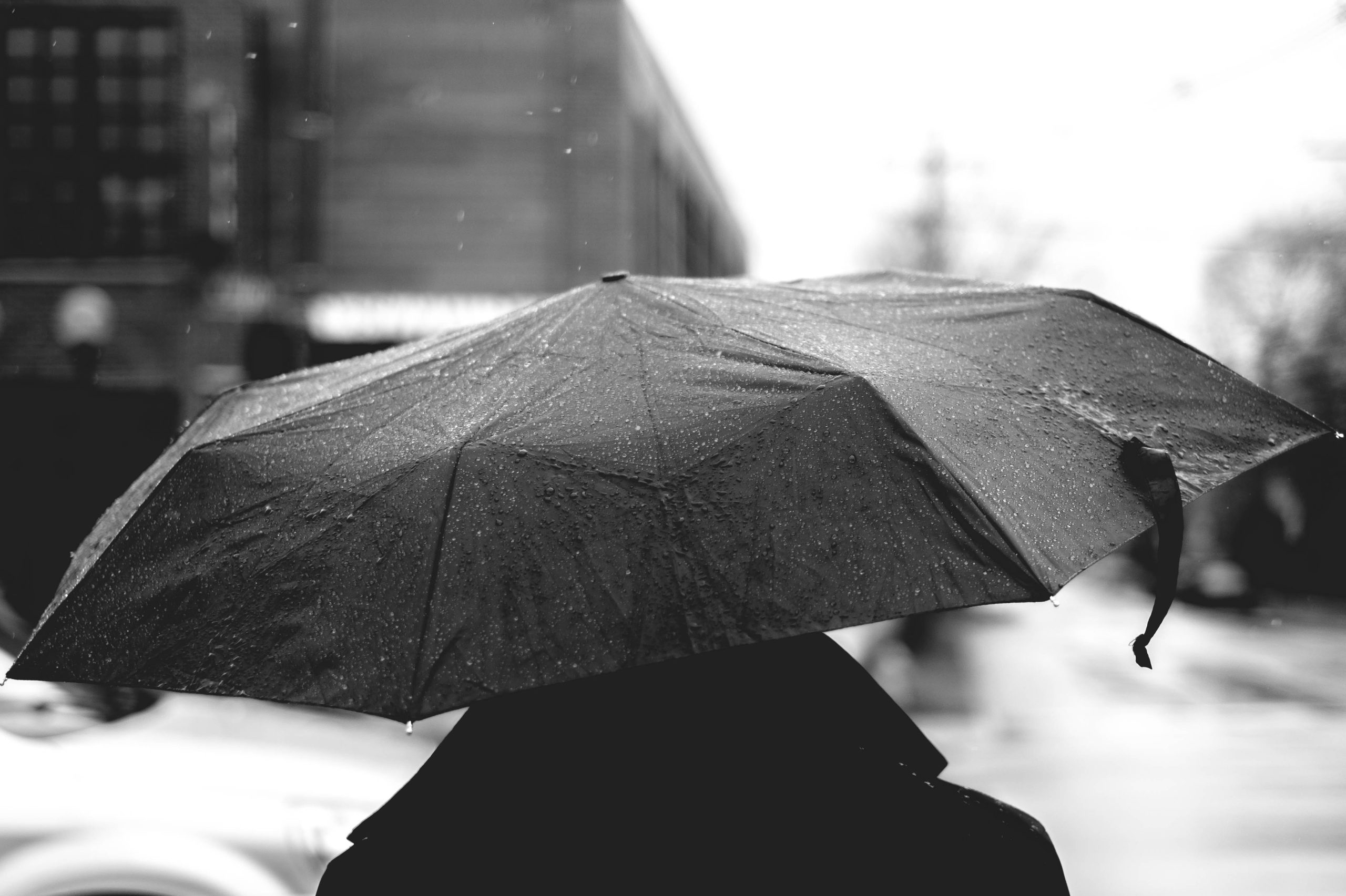 Listening to Understand: A step toward systemic change