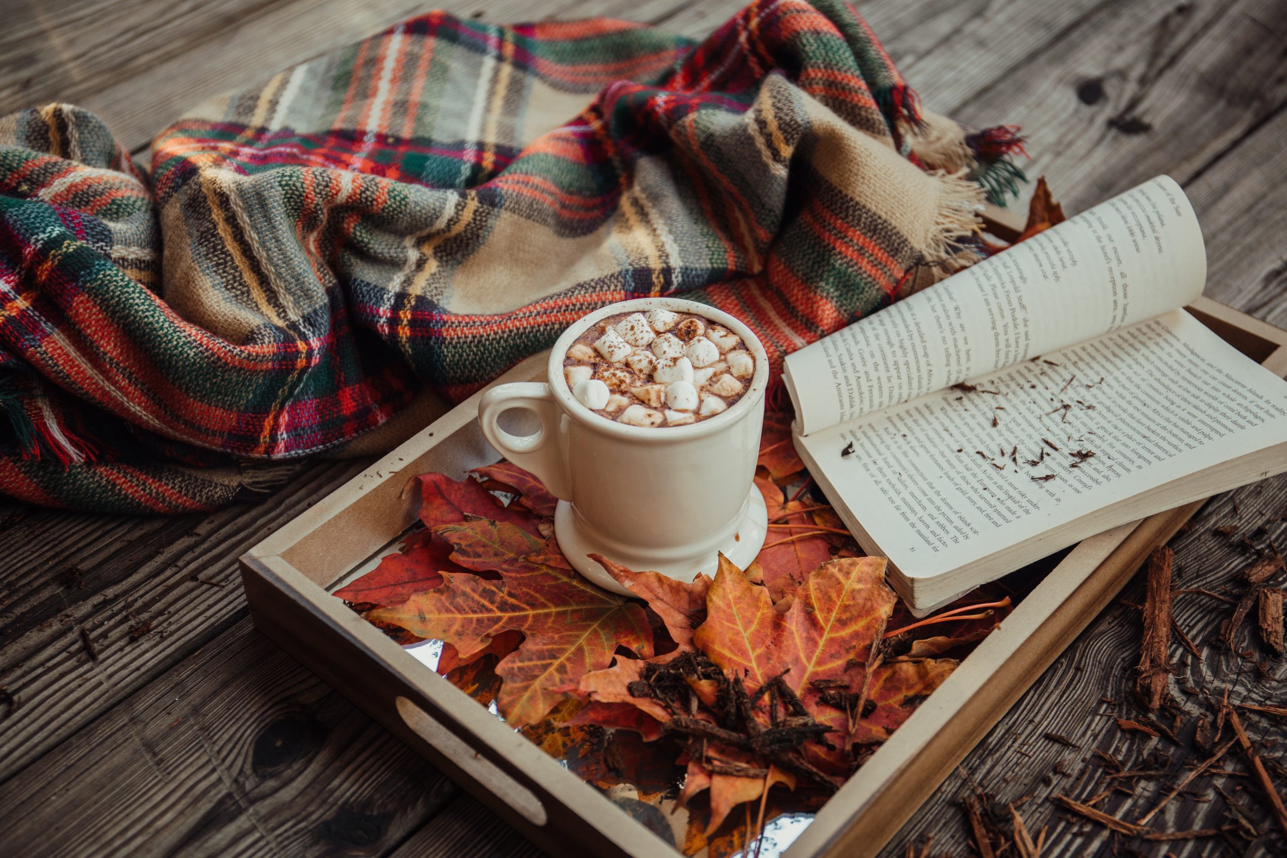 tray with a mug of hot cocoa, a book, and a blanked nearby
