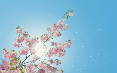 Time for Spring Cleaning: For your Thinking