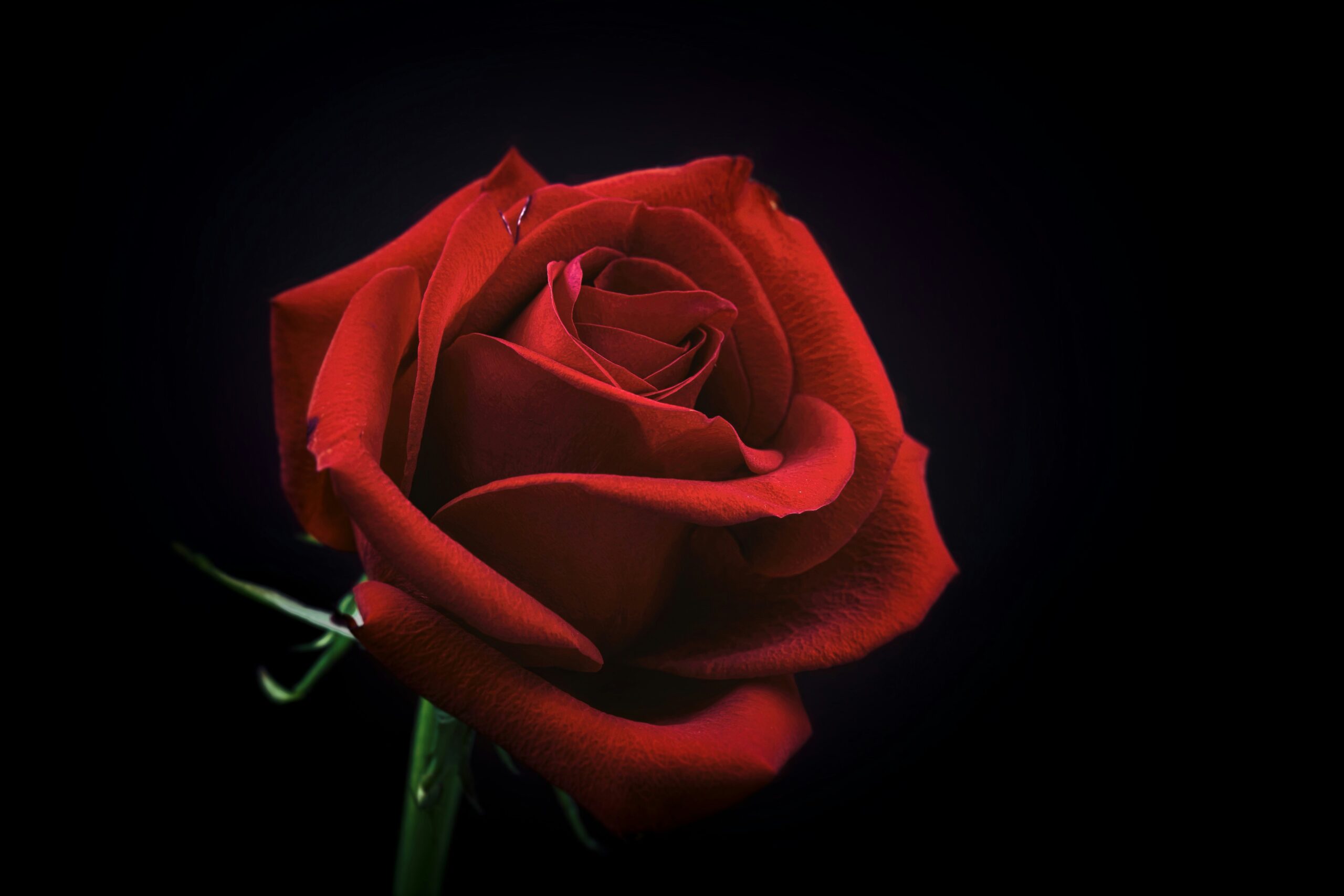 Has your relationship become stagnant? Does it need relationship renewal?